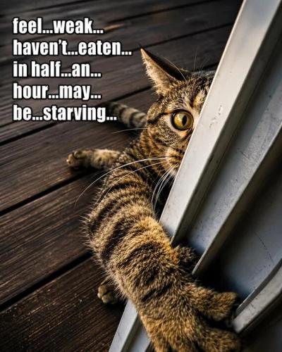 cbfeb6c7e8ba4eaf165821f6b2c9d5ca