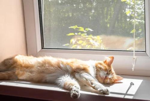 803f1ba97ca7e84f2a3061d10024b696