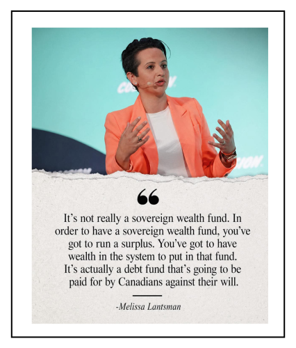 wealth fund