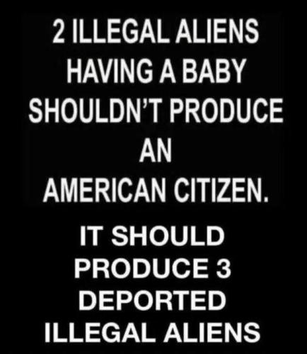 661421364_1488659923046922_7843603418836944921_n