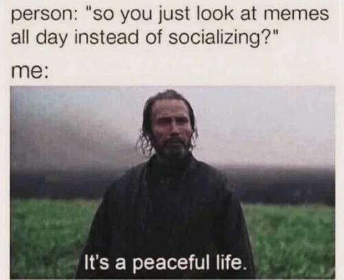 look-at-memes-all-day