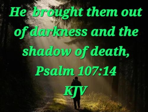 53214d77-df94-42e8-a1df-fb393e4d38e3