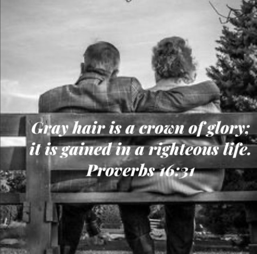 Screenshot_20260402-190358-700