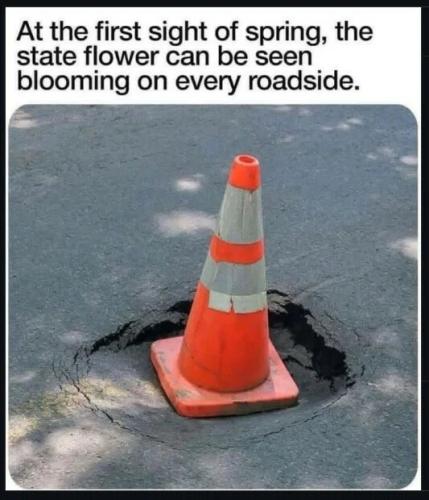 a9ae14de5390da34412be558947dd2a3