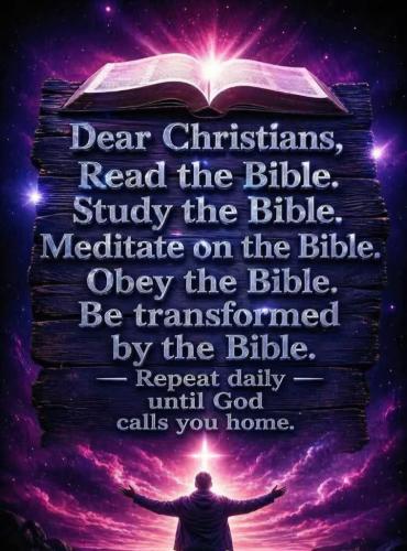 31c421c7-92b3-4aac-8b53-866735756ae4