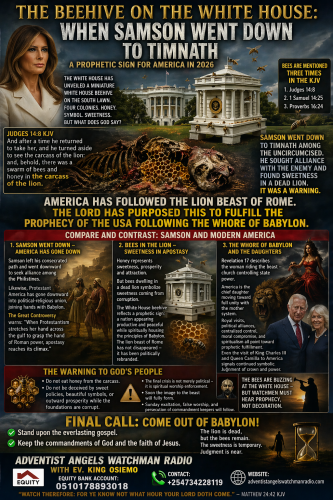 file_00000000f44c720ca51c4dd192915675