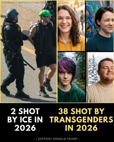 TESTHUB_photos_users_T8opjXQw6nPp7HCRooW1o56Esae2_-OqrXa5eLyocRGNYVwej_img_rsz__1100x1100