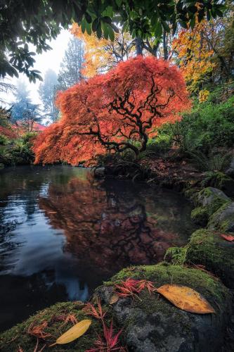 469618778_1097291588430886_8203313141249999741_n