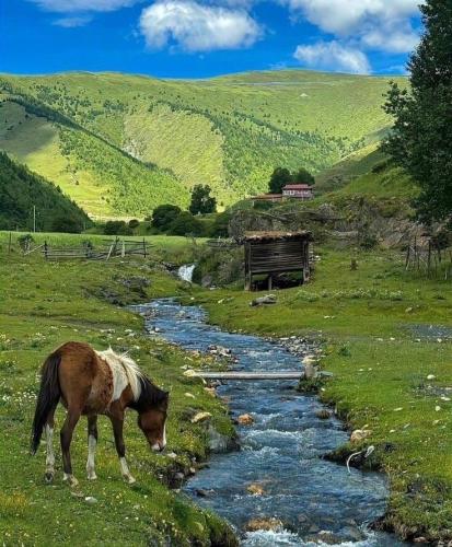 RDT_20260421_1046425992976835423502182