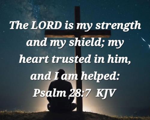 7c6a8bdc-30c2-4aa3-9a6a-c80a5825b9fb