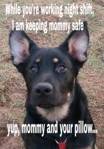 681572167168316194c149924c4114f1