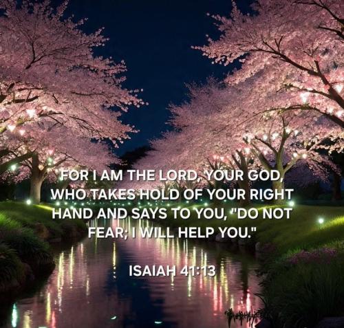 substack-452e4c68-c15c-4f94-9f9a-4bbf4f2bb835