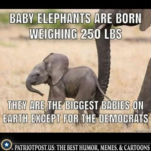 01KPR6JMGGGT31NZ0K8K719HG0