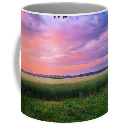 Screenshot_20260423_091454_Brave