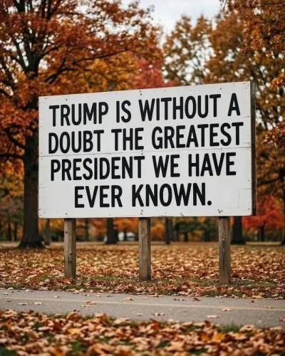 17733983558137007792816559596233_148240681995636