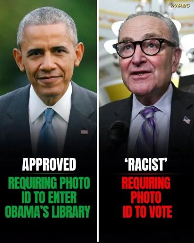 17767651932862591166355204351660_2003141150354292