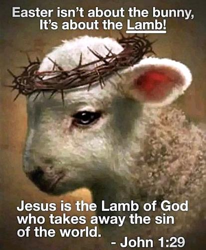 040526 - Lamb of God