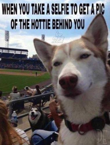 _main-qimg-bc904b8aec4098082a2caf95d5bb0318-lq