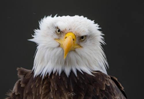 651412778_122217311954317042_5987412041411336090_n