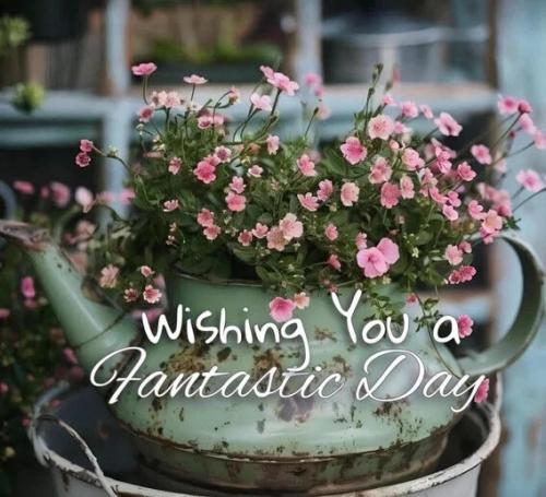 31e08aca8d27588ff5fa57f46d11149b