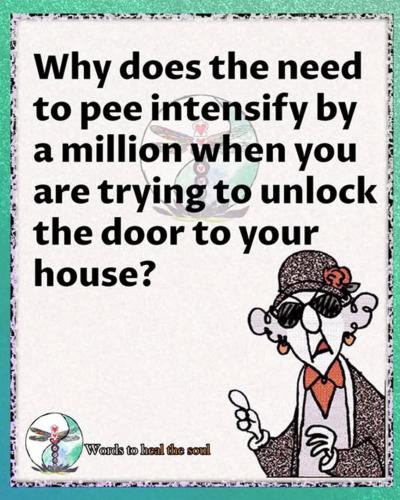 FB_IMG_1775345085715