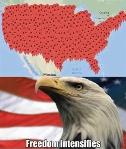 TESTHUB_photos_users_KPBY8Tc46ldqLjWXf6bqxqOW3AR2_-OpT4RAoKS7lKfQyRsiN_img_rsz__1100x1100