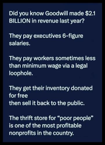 goodwill profits