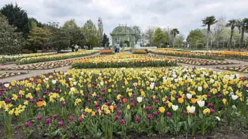 673728110_883360154796605_7734578892070851280_n