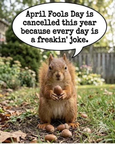 710c9c532638cd886a1753b3e87414f2