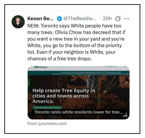 no trees for you