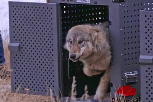 FB_IMG_1777168334865