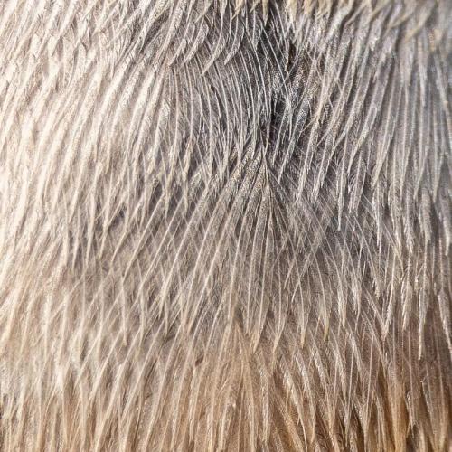 RDT_20260417_0732127978529619169180679