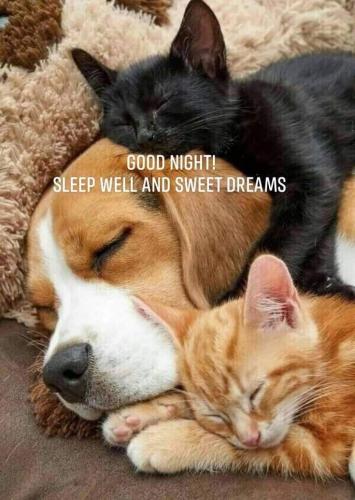 7acc97fc03125da8768de95bb981d175