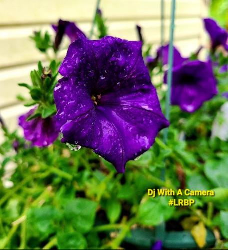 Screenshot_20260421_094322_Gallery