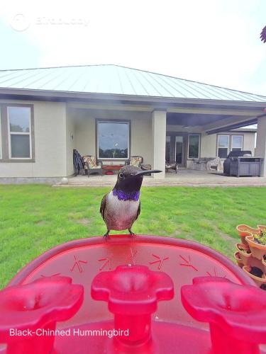 1777560754919