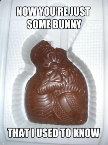 easter-memes-some-bunny-i-used-to-know_1