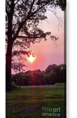 Screenshot_20260401_184821_Brave