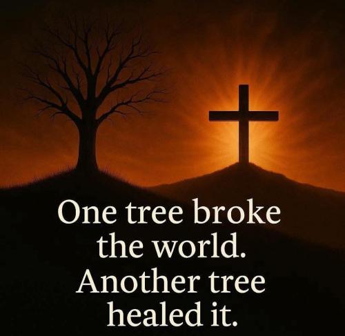 efa12eb7-85d8-4694-a357-ccb5293efebf