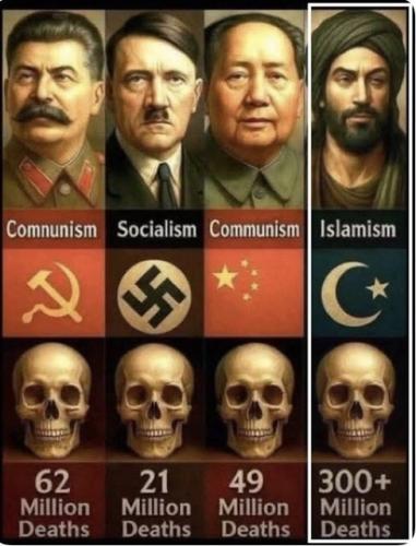 8132bb71-5807-46d6-a773-75a222a721fb