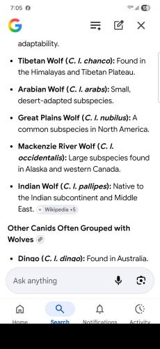 FB_IMG_1777168339275