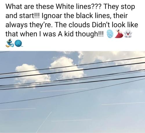 3f18a4e3-cf6f-404d-a6f4-26f11cda0b99