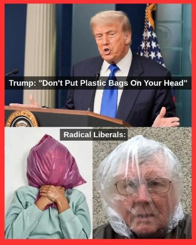 TESTHUB_photos_users_KPBY8Tc46ldqLjWXf6bqxqOW3AR2_-OqmzaXsy_1k4AaKiaJL_img_rsz__1100x1100