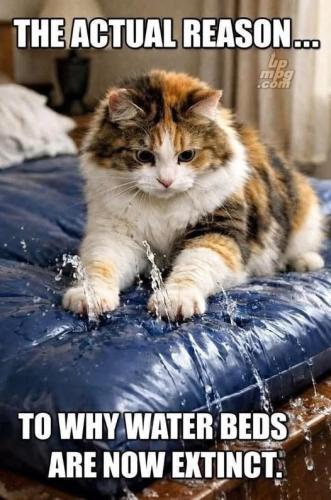 44de377196441d11add8bac995eb2078_1024