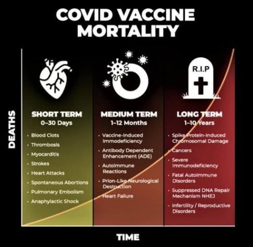 IMG_20260419_104202_791