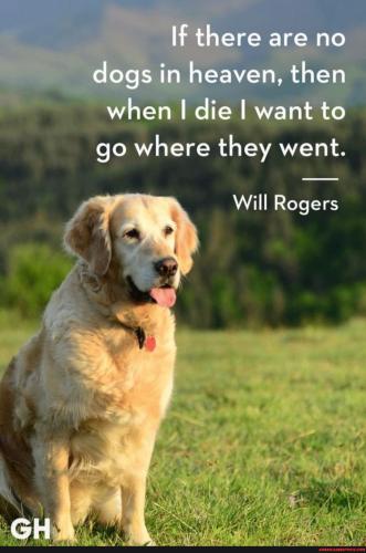 464a3e3a30d0d255a0450b4ee26daf3f7f49da3e1eab7f2f4e6f38e5f062ff62_1