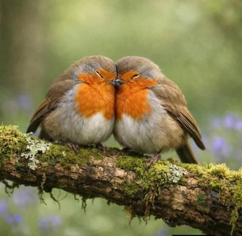 658909666_1244035491043415_6034906819980928717_n