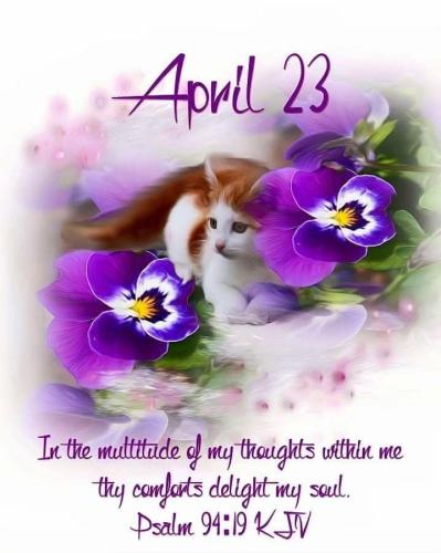 FB_IMG_1776949841334