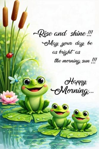 479c768124eeef11f0c5109bdf26ff11