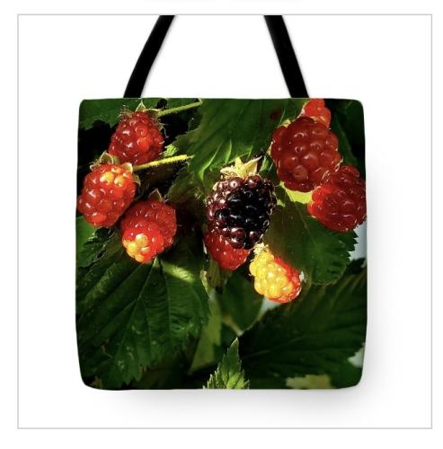 Screenshot_20260408_083126_Brave