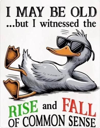 IMG_20260411_185308_308